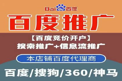 SEM优化技巧：实战案例深度剖析